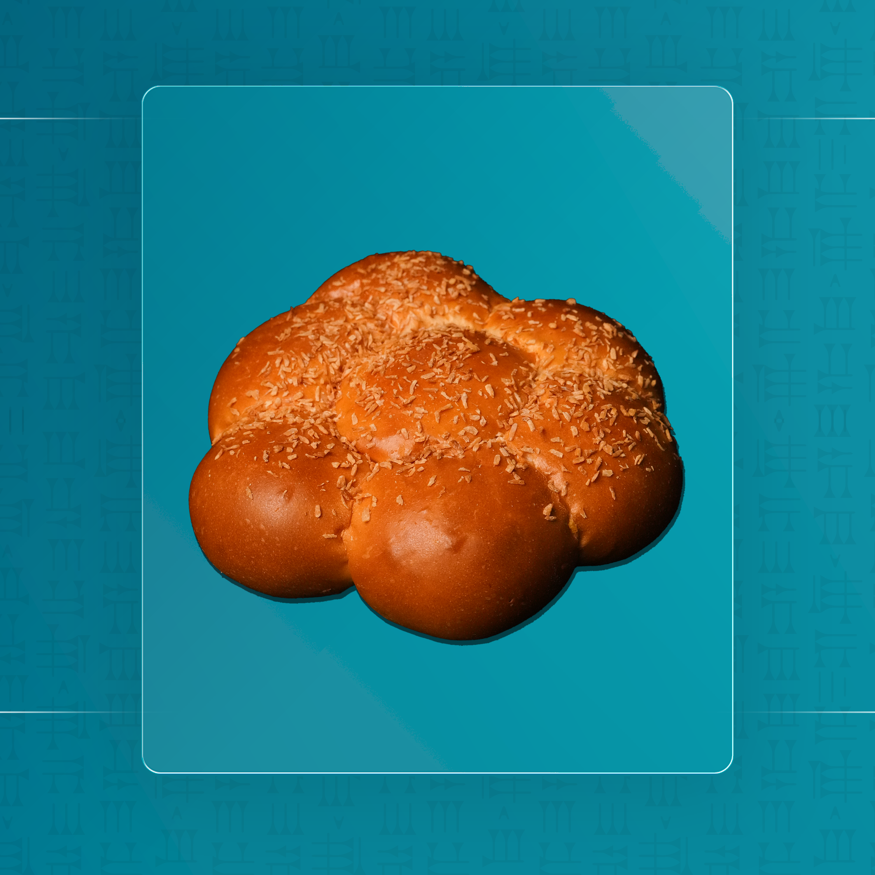 خليه نحل جوز الهند