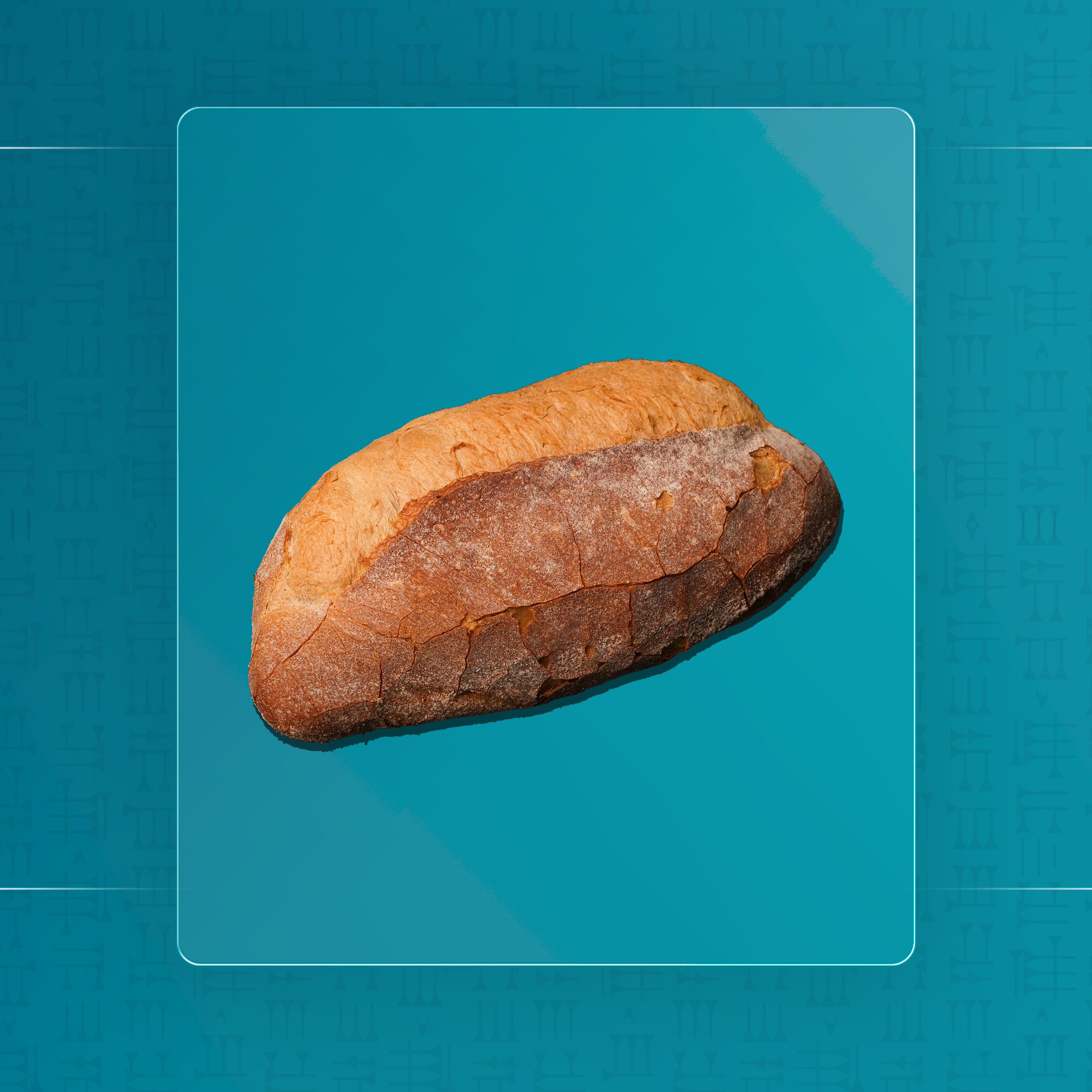 ساوردو كبير بيضوي