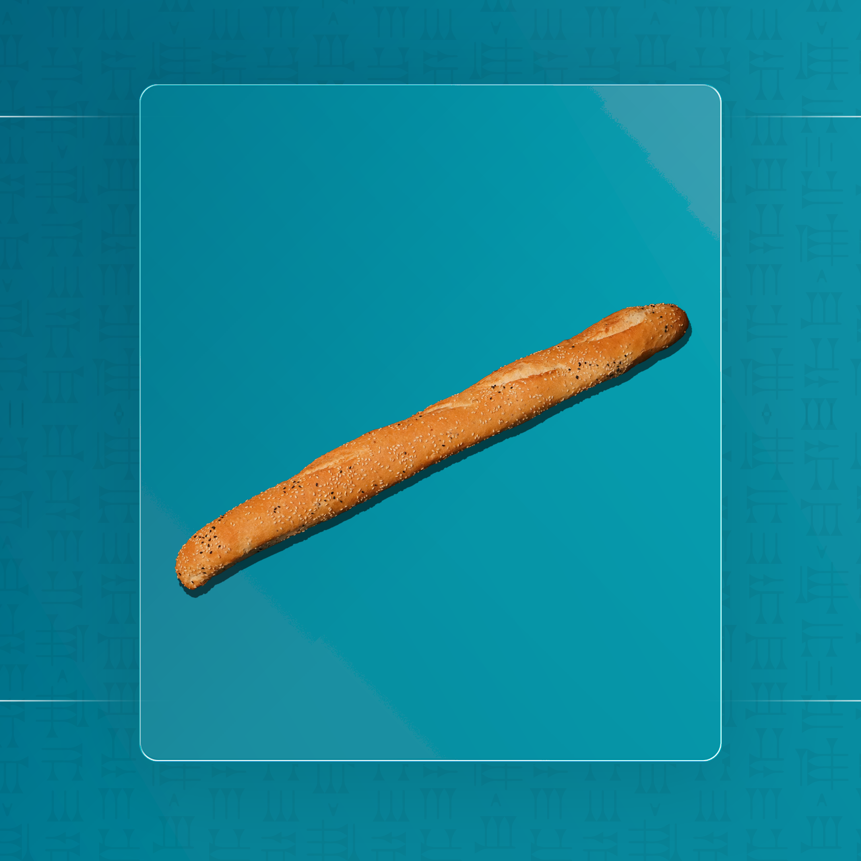 باغيت طويل ابيض