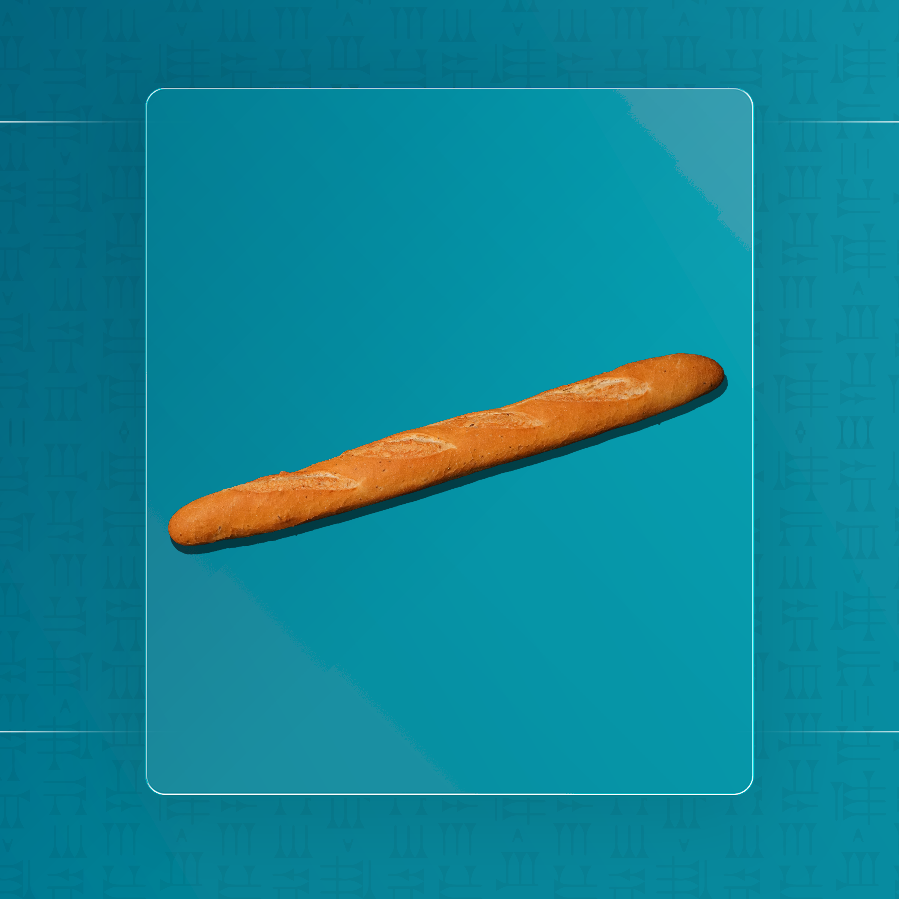 باغيت طويل ابيض